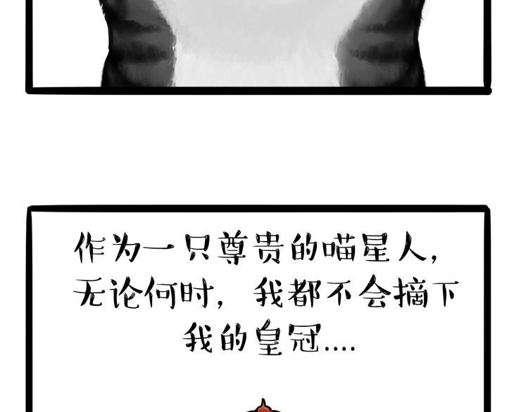 第124话 一只尊贵的喵1