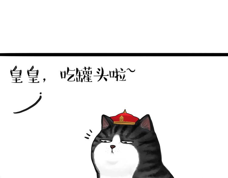 第124话 一只尊贵的喵10