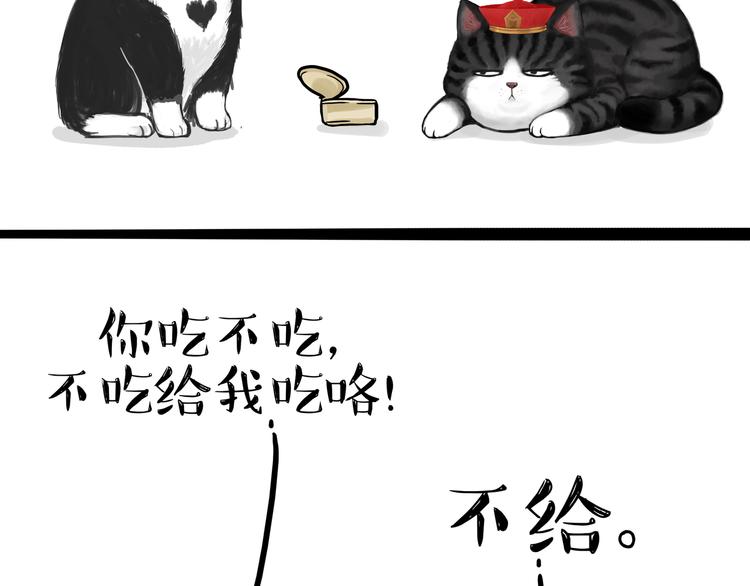 第124话 一只尊贵的喵16