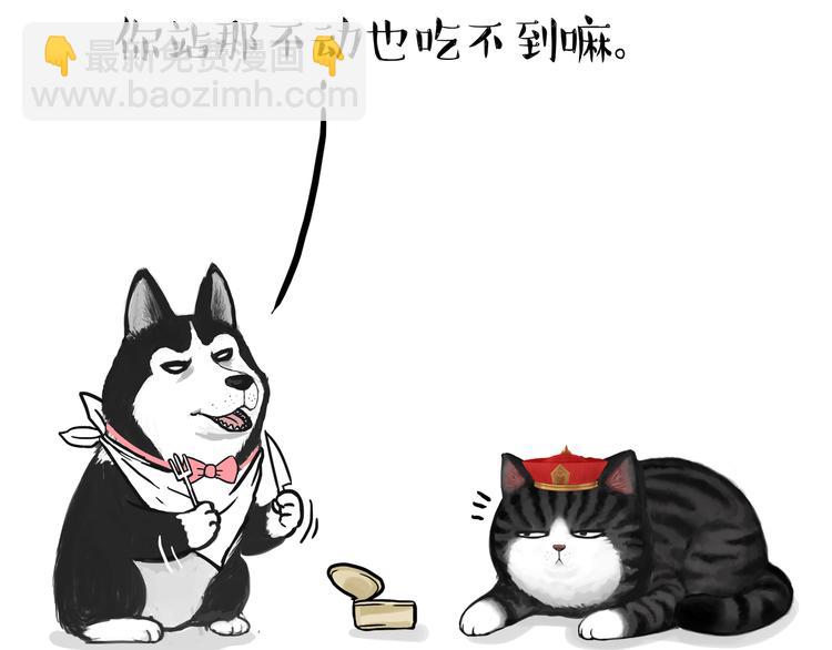 第124话 一只尊贵的喵18