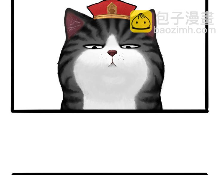 第124话 一只尊贵的喵2