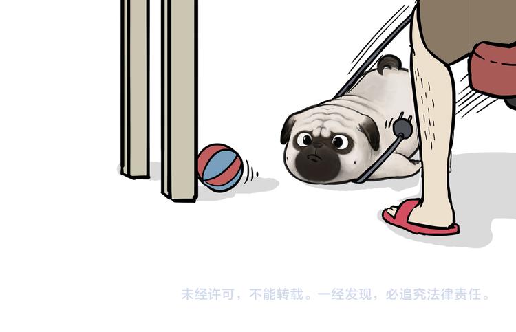 第124话 一只尊贵的喵27