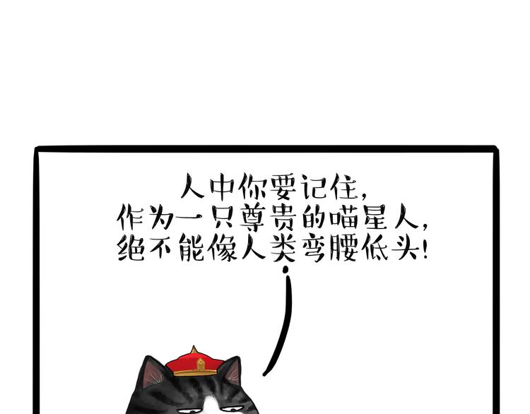 第124话 一只尊贵的喵7
