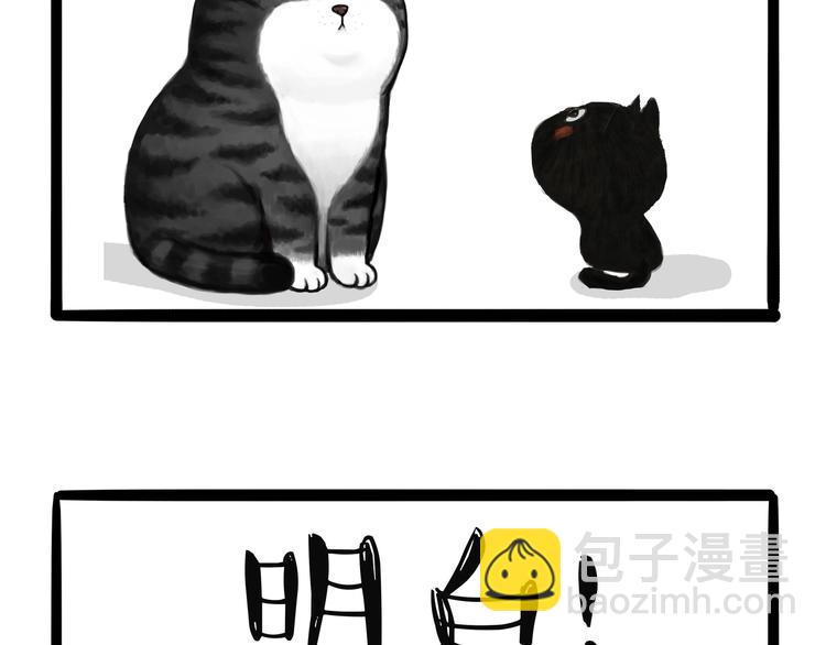 第124话 一只尊贵的喵8