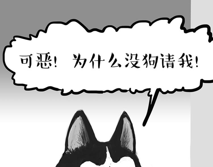 第126话 巴扎黑你什么都不懂10