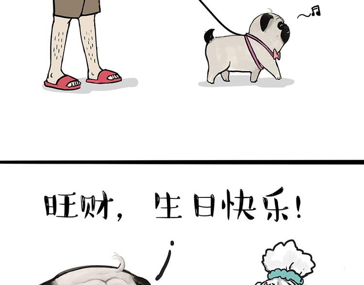 第126话 巴扎黑你什么都不懂15
