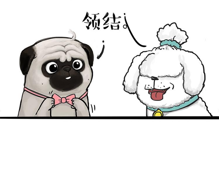 第126话 巴扎黑你什么都不懂17