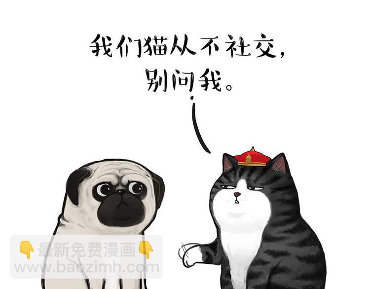 第126话 巴扎黑你什么都不懂2