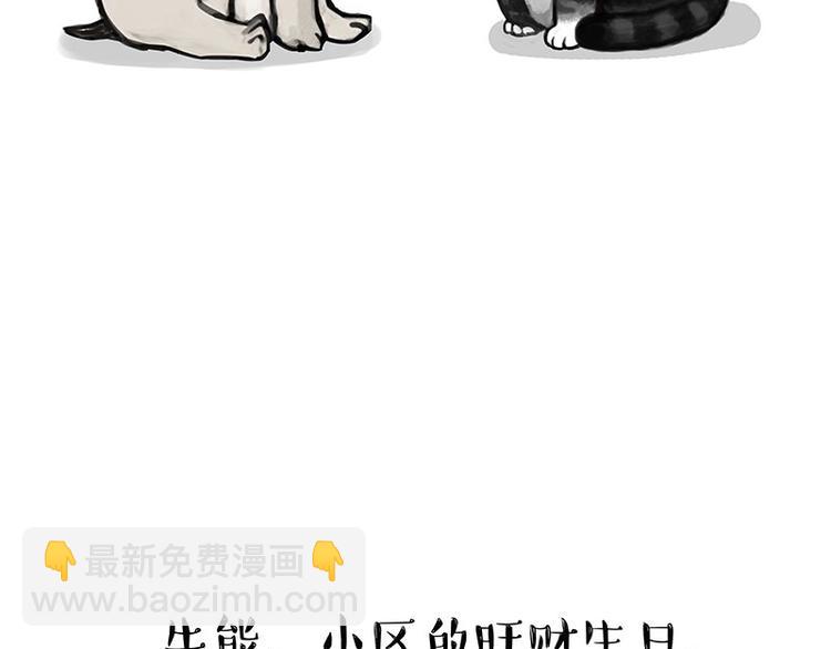 第126话 巴扎黑你什么都不懂3
