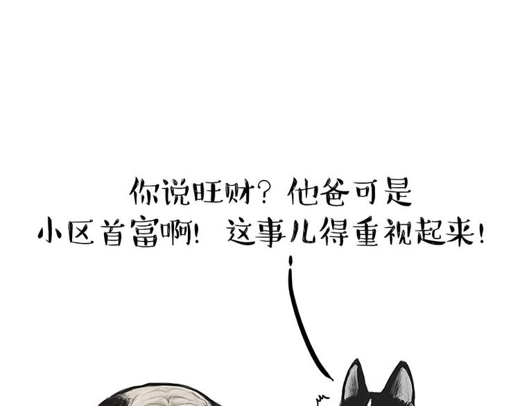 第126话 巴扎黑你什么都不懂5