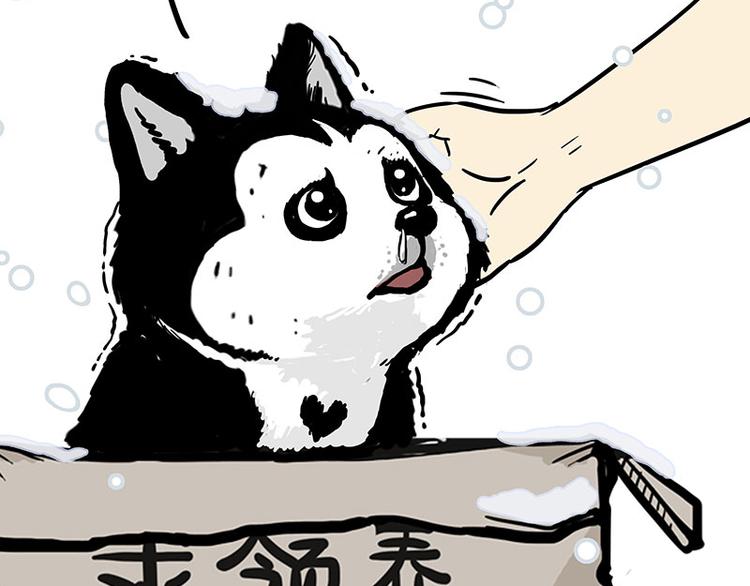 第126话 巴扎黑你什么都不懂66