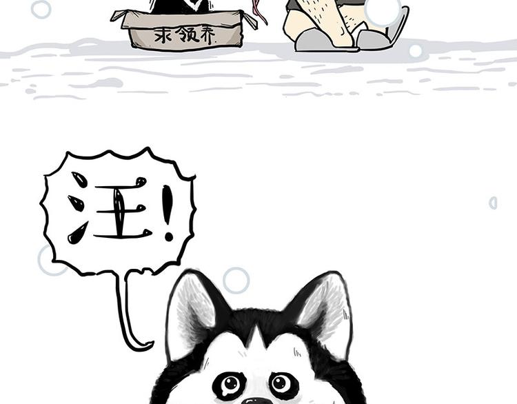 第126话 巴扎黑你什么都不懂71
