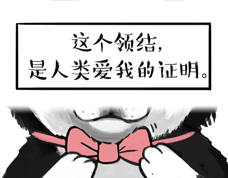 第126话 巴扎黑你什么都不懂74