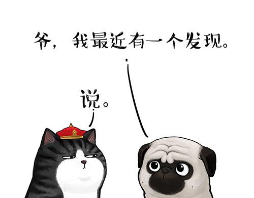 第128话 黑话21