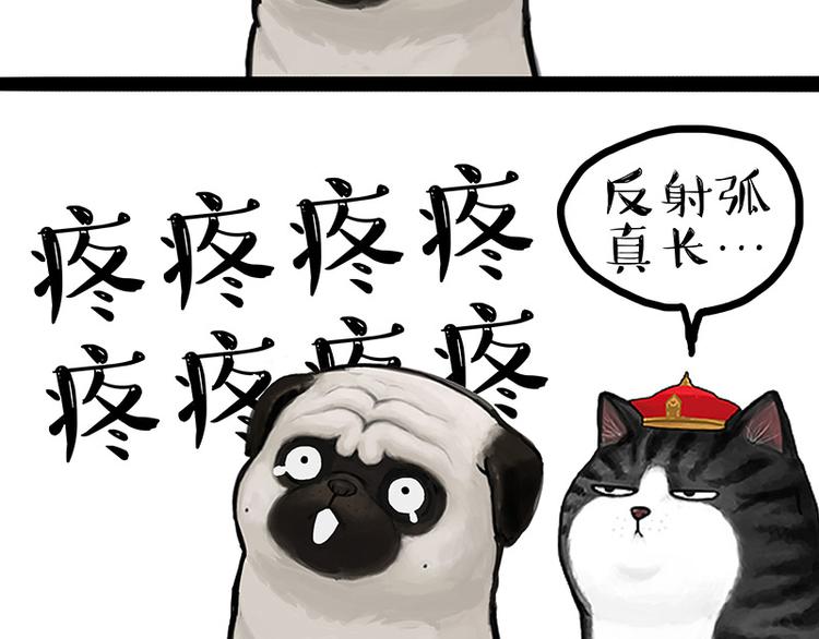 第129话 反射弧41