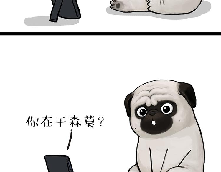 第133话 视频通话15