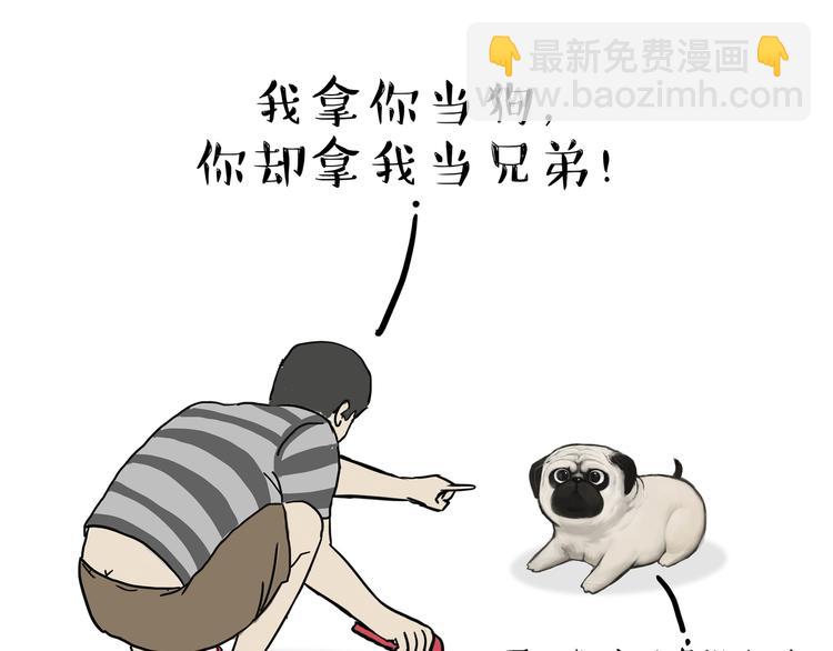 第133话 视频通话53