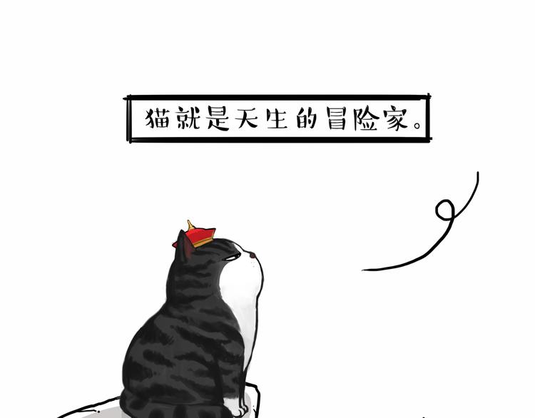 第135话 造物主也会失误31
