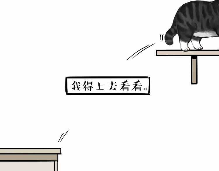 第135话 造物主也会失误34