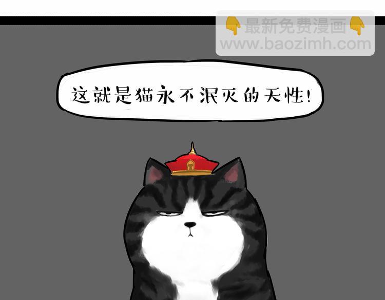 第135话 造物主也会失误38