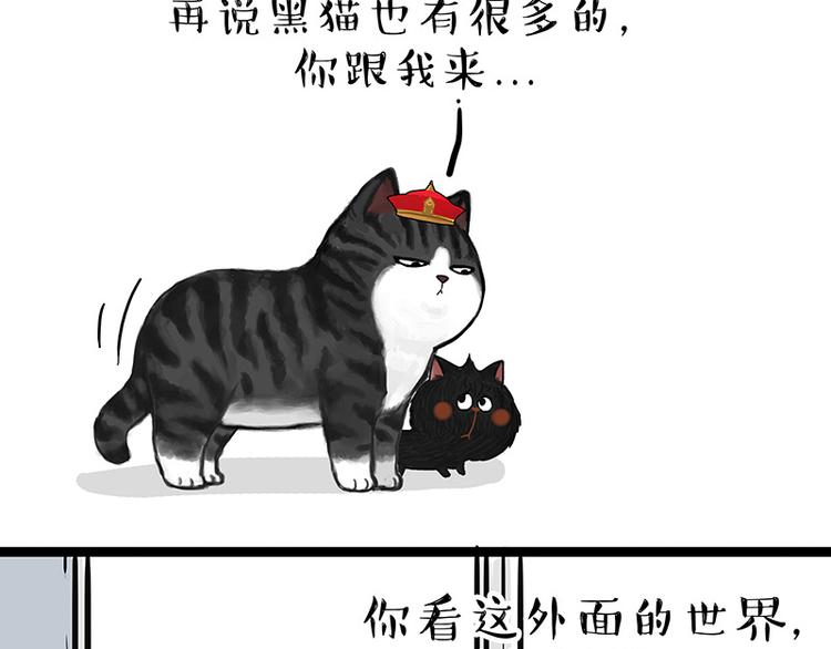 第136话 不一样又如何37