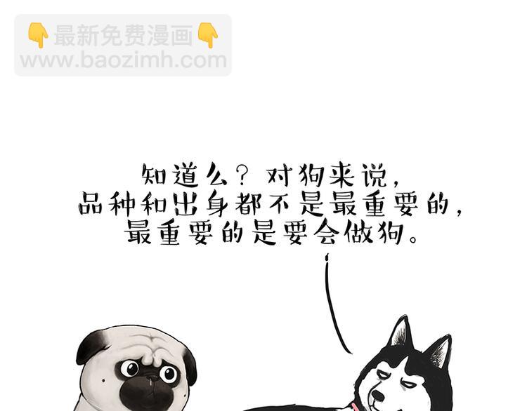 第137话 泪水，止不住15