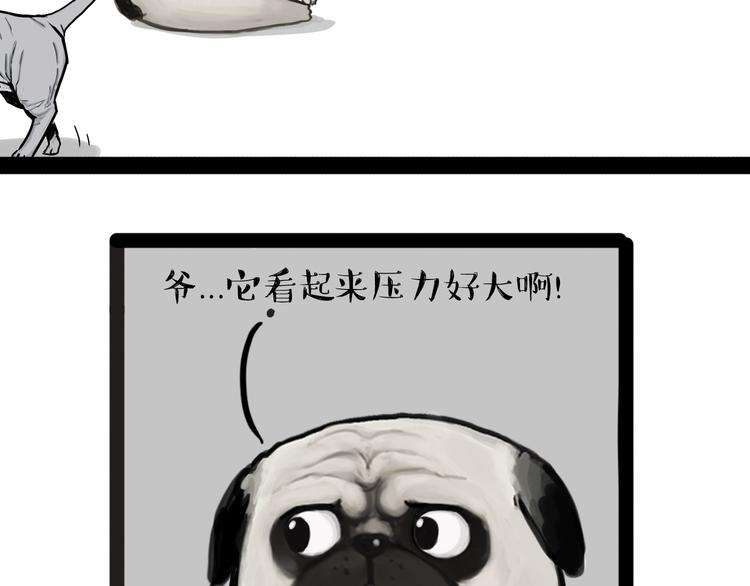 第138话 来人救驾10