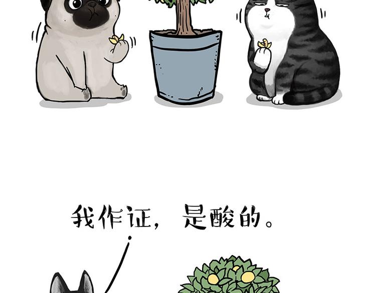 第141话 左右为难37