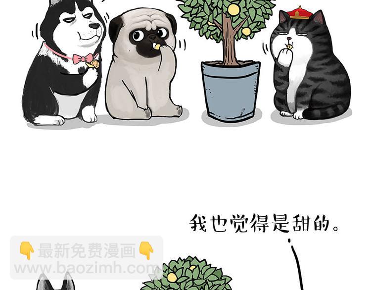 第141话 左右为难38