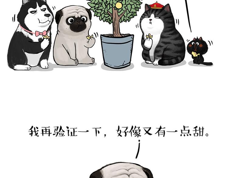 第141话 左右为难39