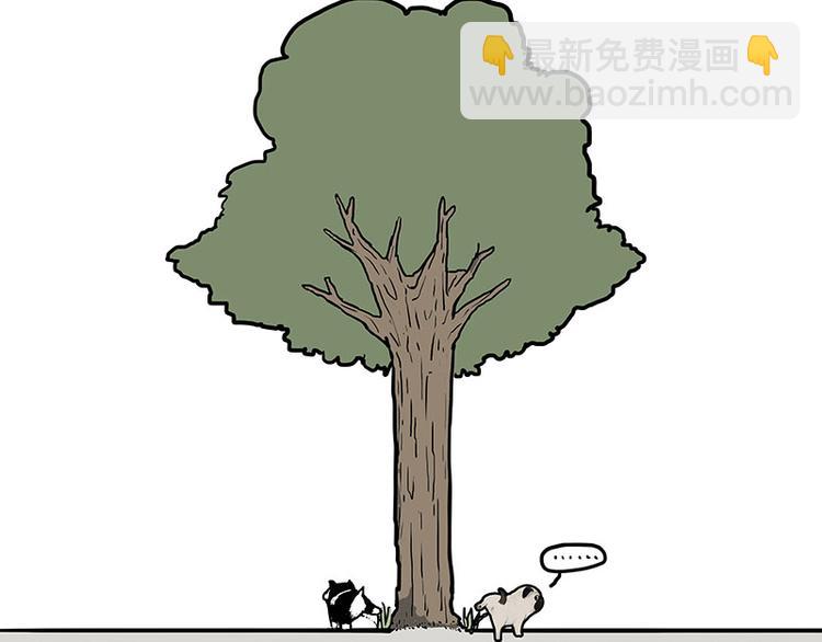 第146话 科学转运34