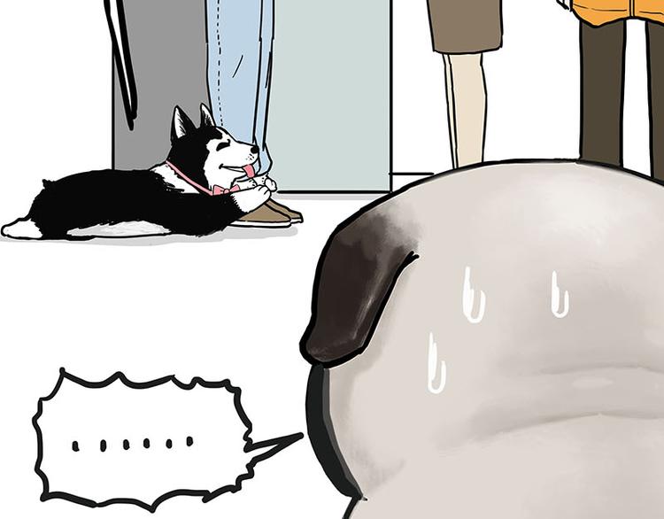 第149话 真正的傲娇26