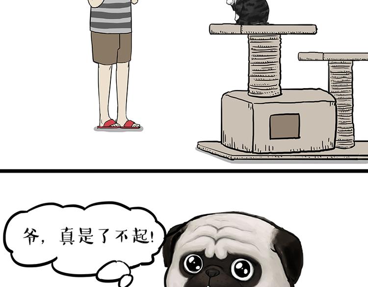 第149话 真正的傲娇35