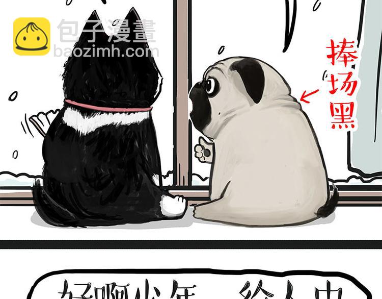 第149话 真正的傲娇4