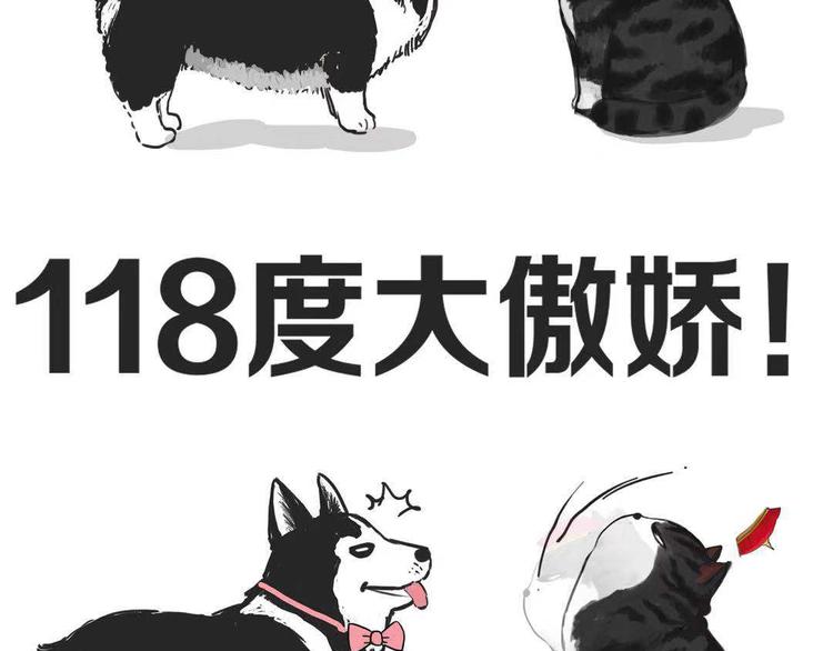 第149话 真正的傲娇44