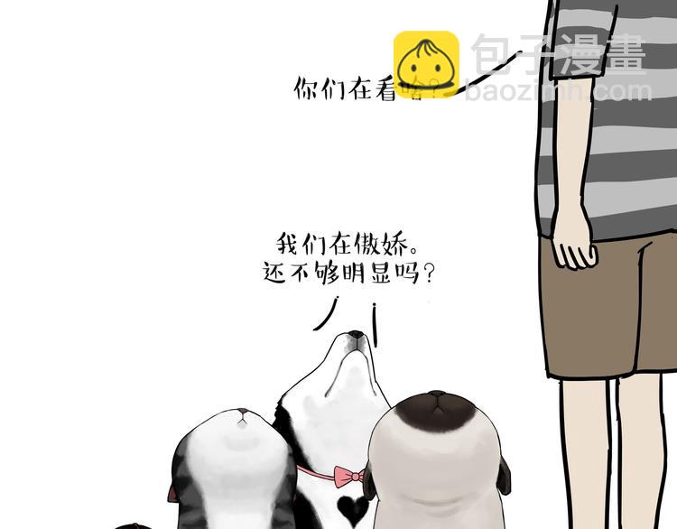 第149话 真正的傲娇53