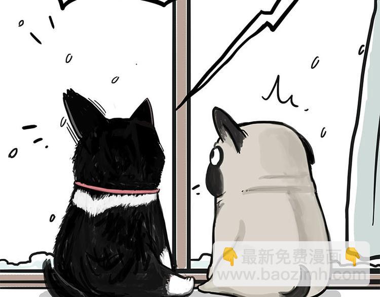 第149话 真正的傲娇7