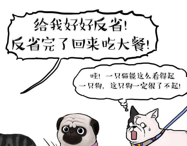 第149话 真正的傲娇70