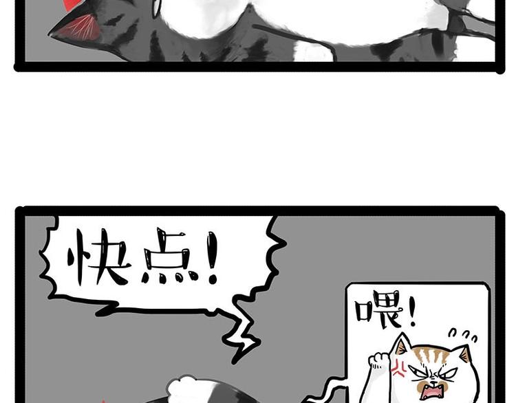 第151话 一声兄弟，一生兄弟20