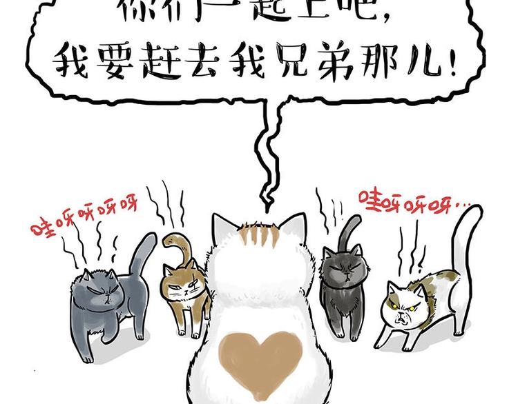 第151话 一声兄弟，一生兄弟23