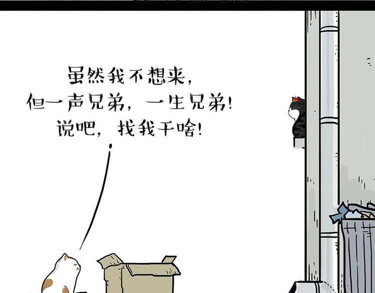 第151话 一声兄弟，一生兄弟28