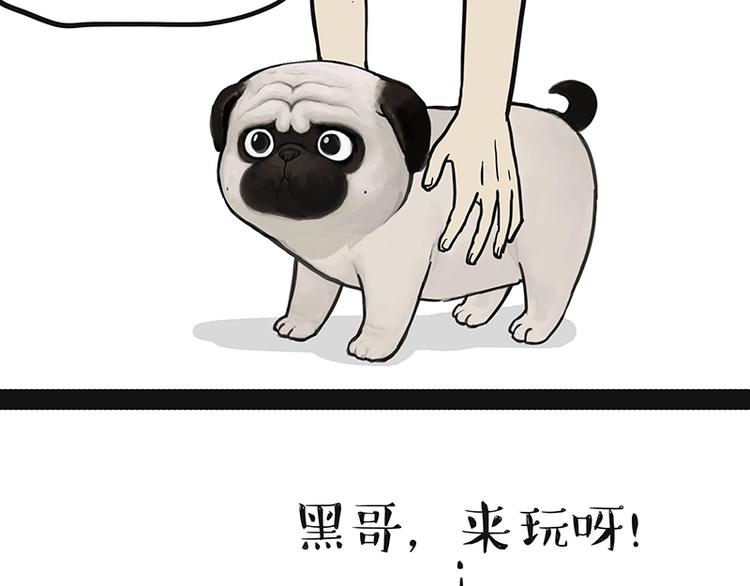 第151话 一声兄弟，一生兄弟5