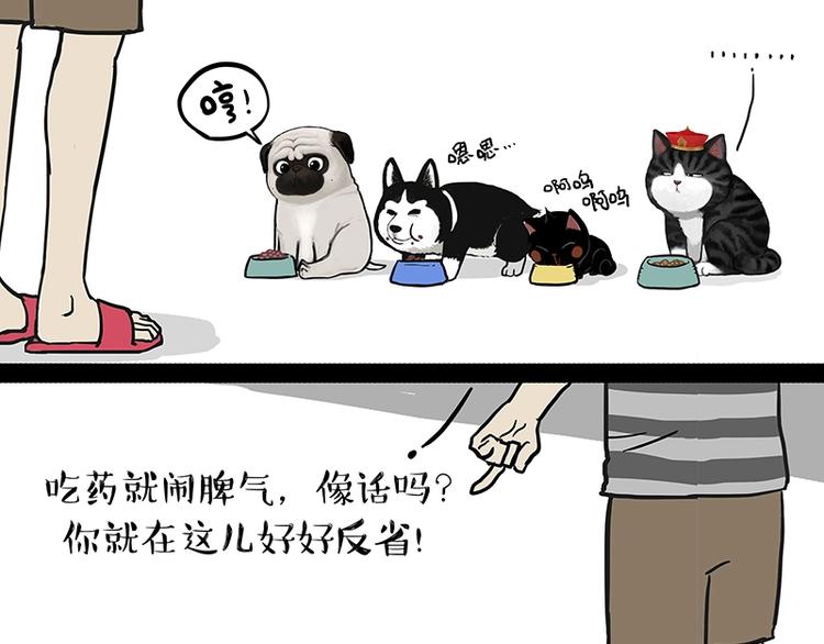 第151话 一声兄弟，一生兄弟9