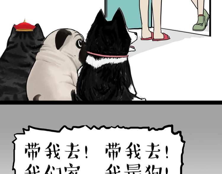 第153话 我最狗11