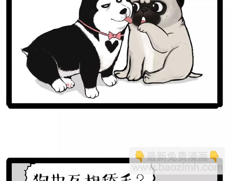 第153话 我最狗23