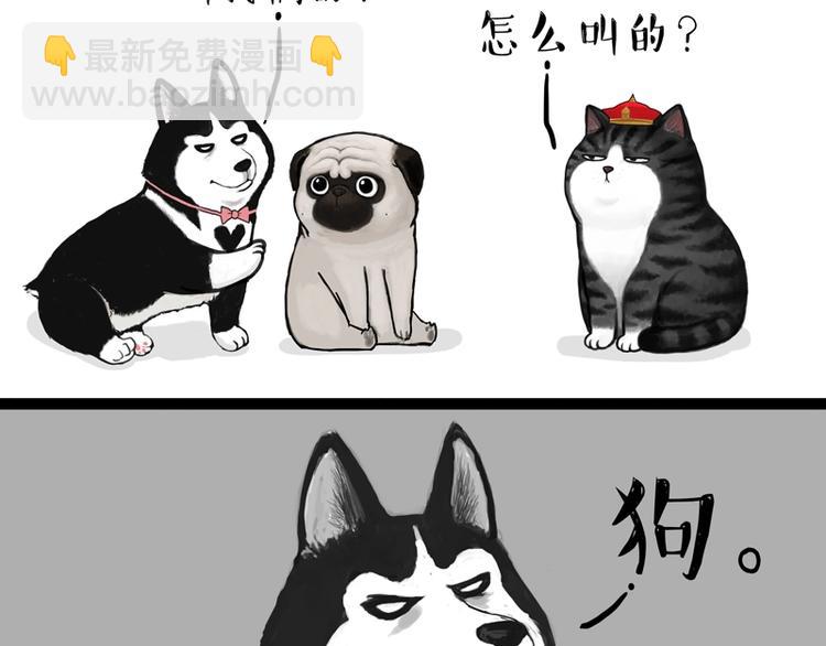 第153话 我最狗4