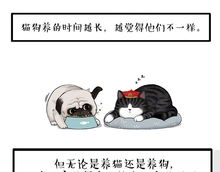 第154话 要给自己打个气！15