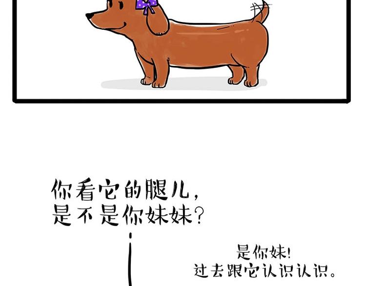 第155话 狗之礼仪1