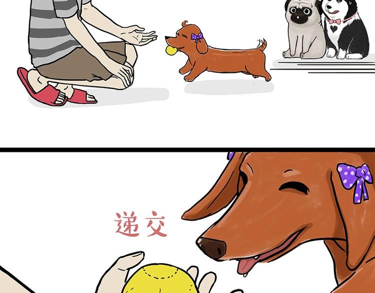 第155话 狗之礼仪10