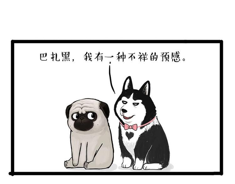 第155话 狗之礼仪14
